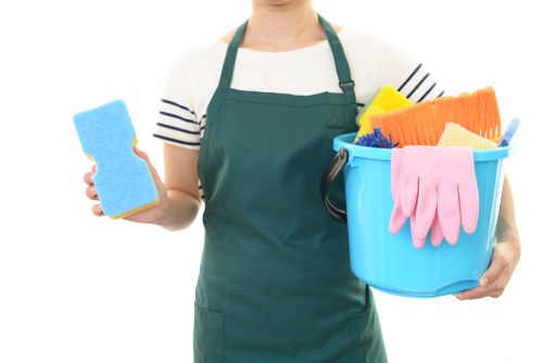 Professional carpet cleaning in Crystal Palace with deep floor care