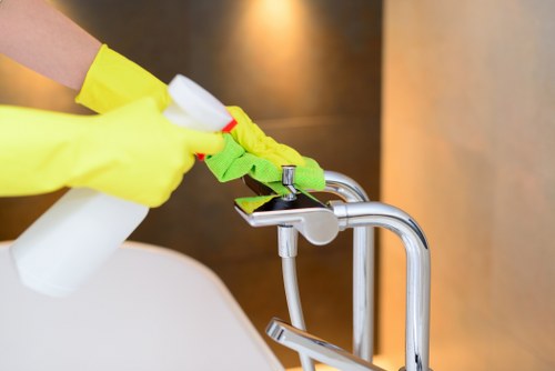 Pet stain odour removal on upholstered furniture and cushions