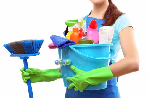 Cleaning supplies arranged for stain removal at home