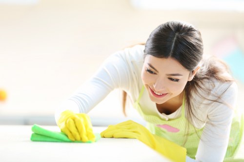 Natural and commercial products used for pet stain odour removal