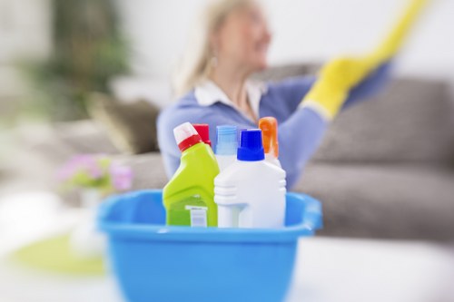 Deep carpet cleaning service in a Crystal Palace home interior